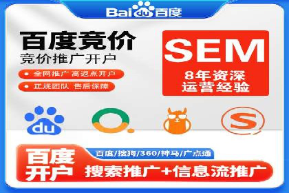 某电商平台的SEM推广实战经验